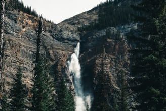 Play The Rockies